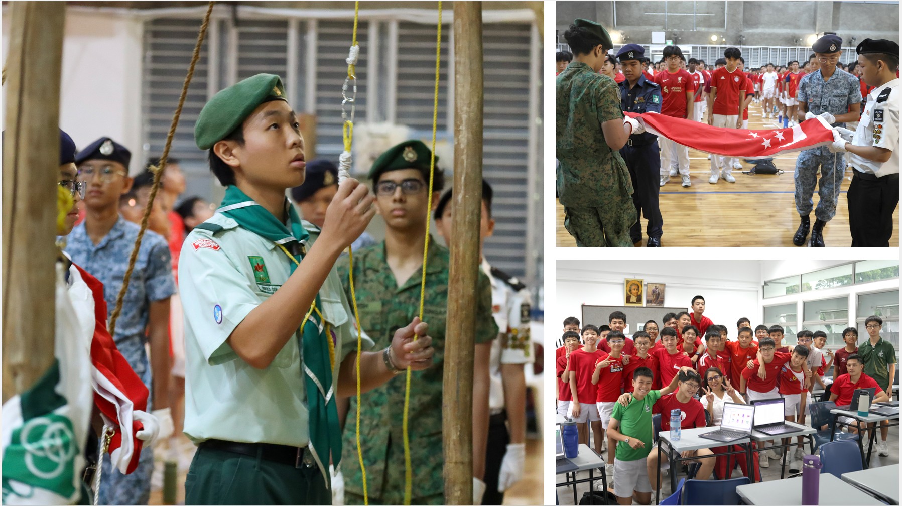 NDP26