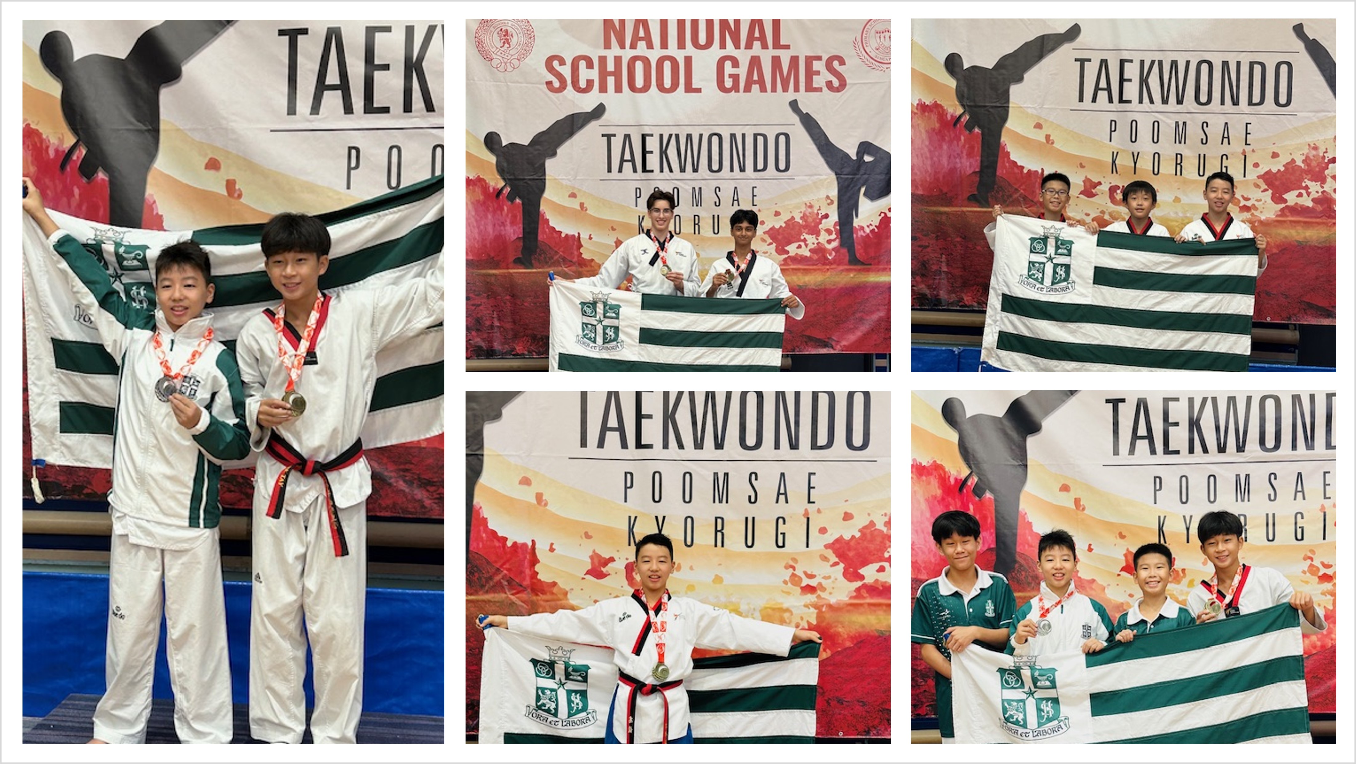 TKD24