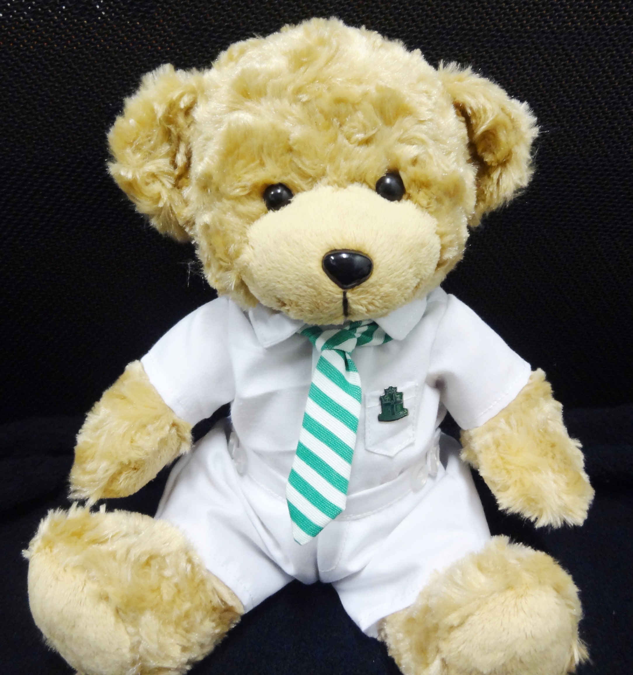 SJI Bear 2013a.jpg